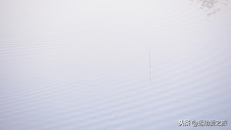 野钓鲫鱼双钩在水下的最佳状态,钓鲫鱼双钩在水底什么状态最好