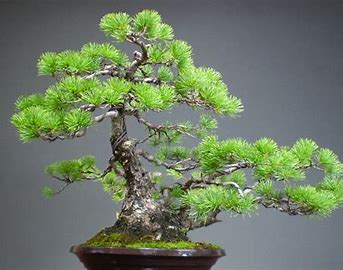 散文|汗漫:两个诗人