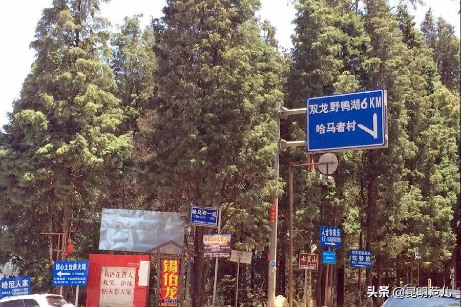 春节昆明周边自驾游攻略,昆明周边亲子游自驾游攻略