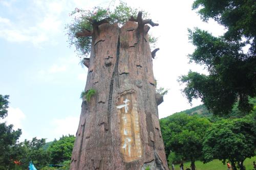 深圳游玩景点推荐青青世界,深圳好玩的青青世界
