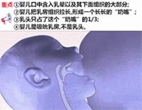 乳头裂伤后喂奶如上刑?应急手册来啦