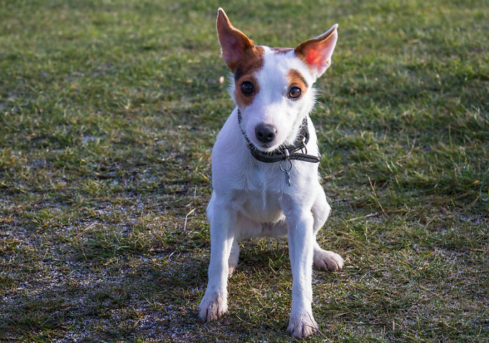 歪果网友分享自己暂时逃避现实的方法，压力大时可以试试了