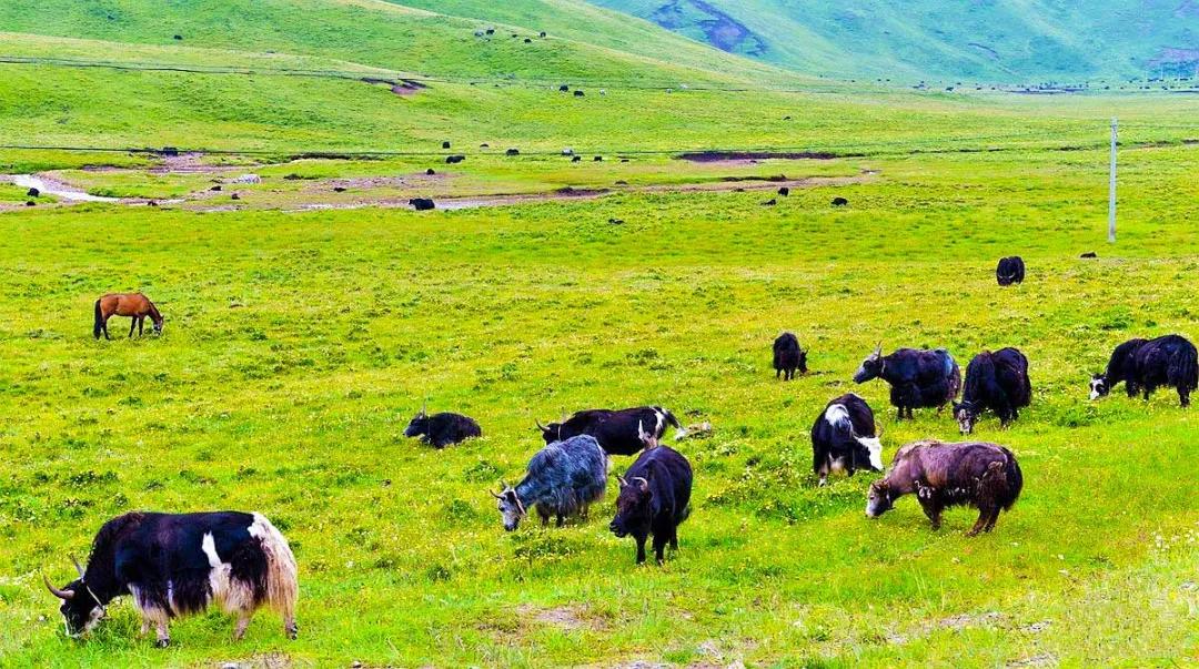 适合夏天去旅游的自驾路线,适合夏季的自驾游路线推荐