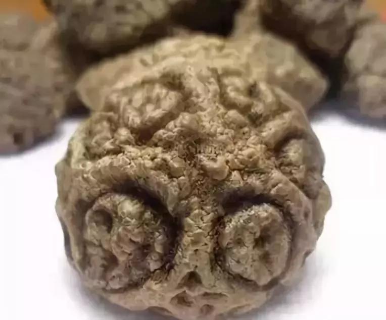 认识了70种菩提，您就是半个专家，再逛文玩市场就没有压力啦！