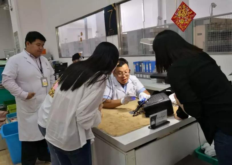 奢侈品电商寺库,奢侈品电商寺库首季