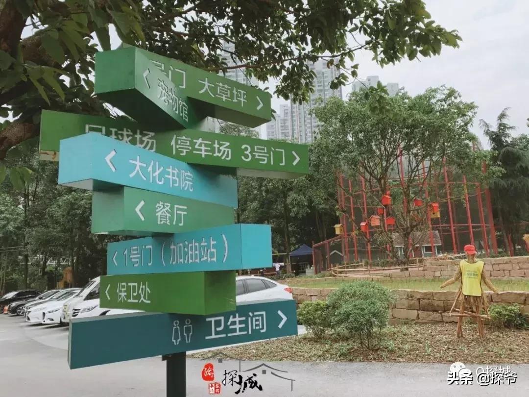 适合遛娃的地方重庆绿色星球,重庆150米神秘花园