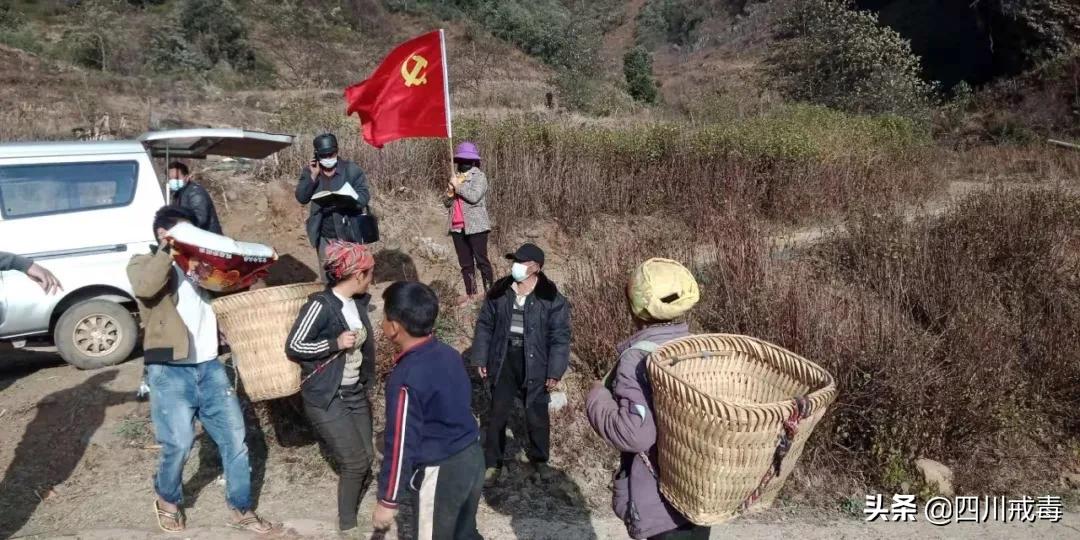 战疫一线第一书记冲锋在前 (战疫先锋专题硬核书记)