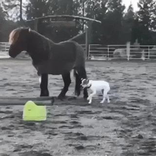 一脚踩进水坑系列,一脚踩进泥坑里那种感觉