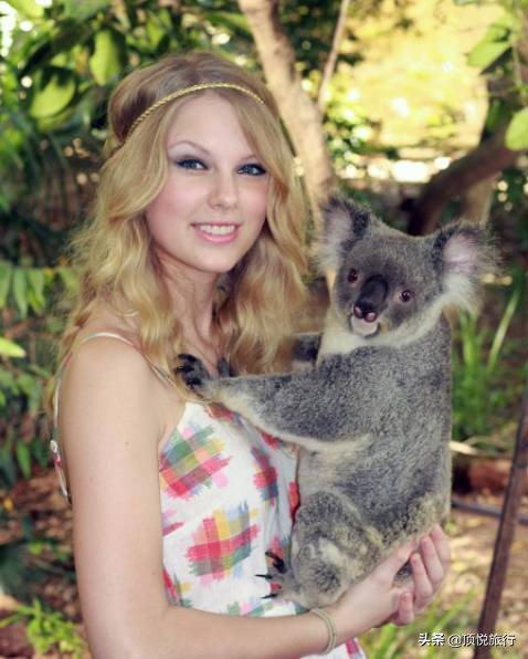 为什么澳大利亚被叫做土澳,为什么澳大利亚被称为土澳