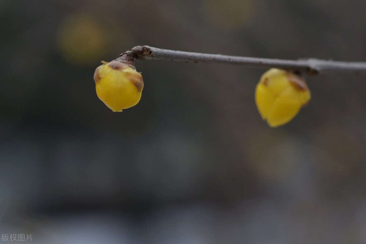 犹太人的智慧浓缩在这10句话,犹太人的智慧20条忠告