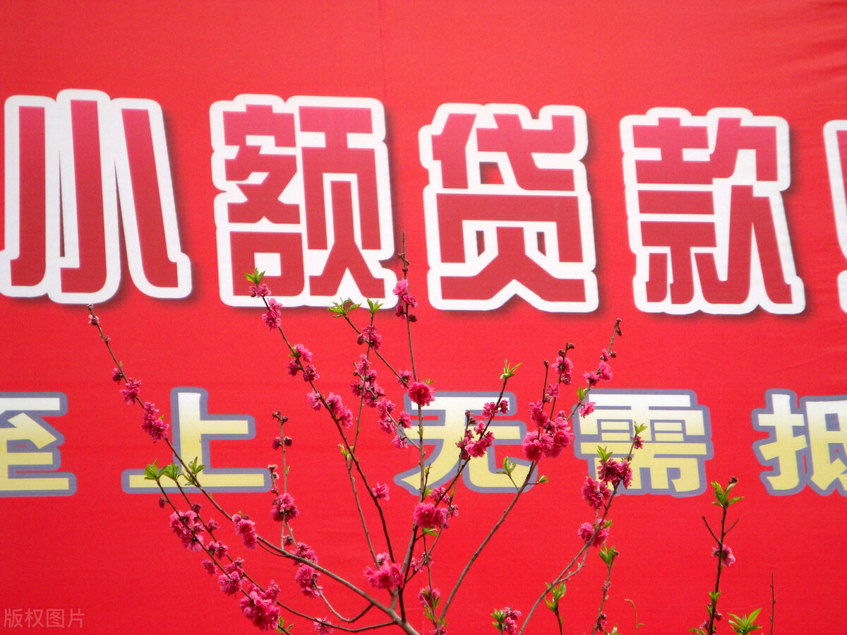 小额贷款行业进入退出壁垒,小额贷款企业现状