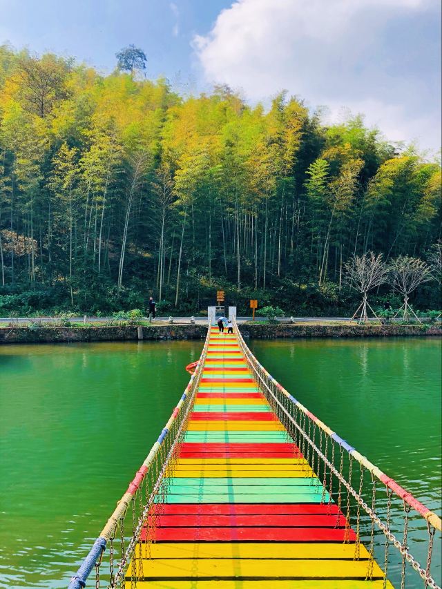 清新大自然竹林风景视频,宜兴竹海风景区图片欣赏