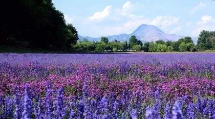 昆明最火网红打卡景点免费的,昆明最近的值得打卡的景点