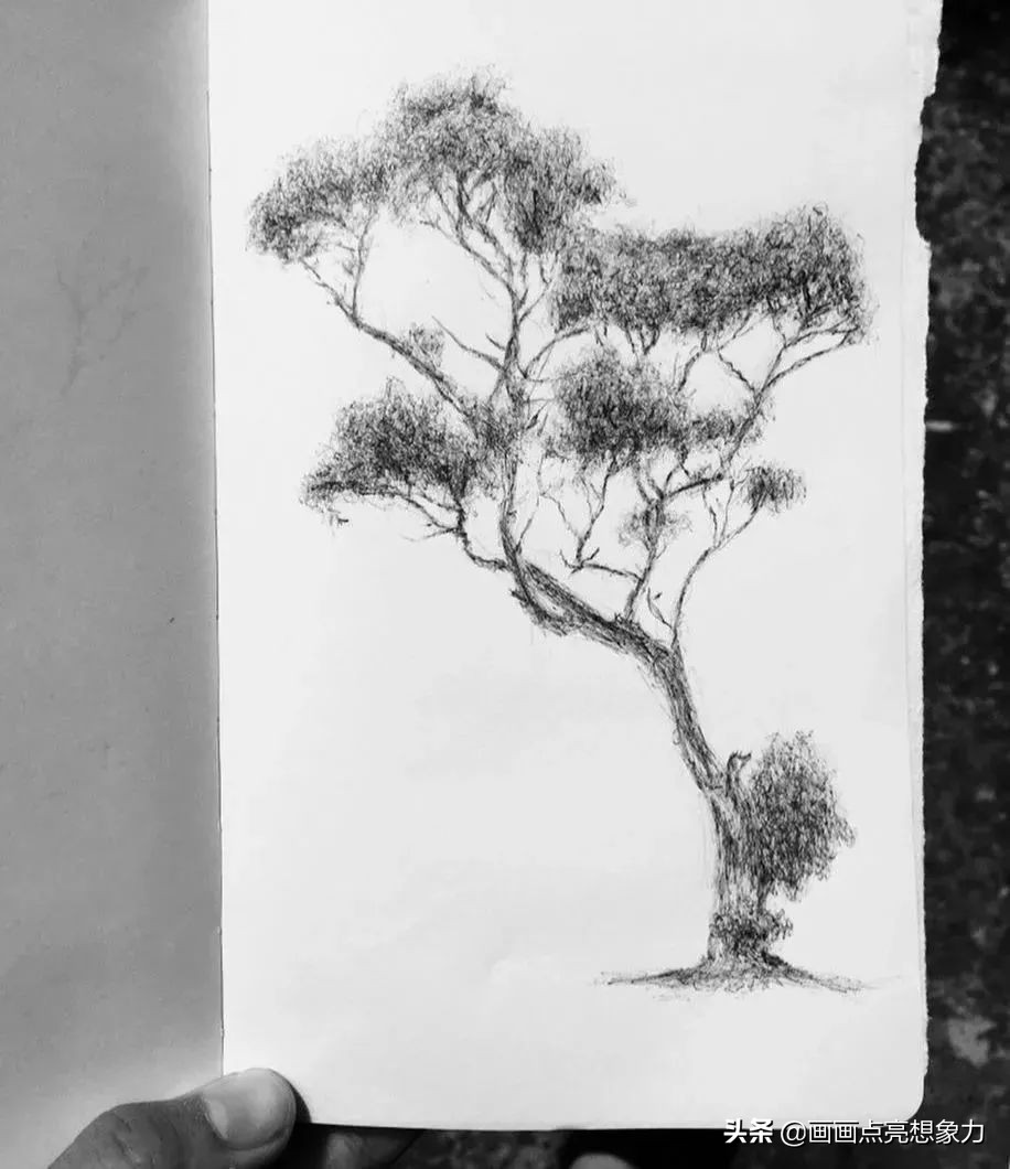 购物小票居然秒变名画?果然是天才少年的神操作