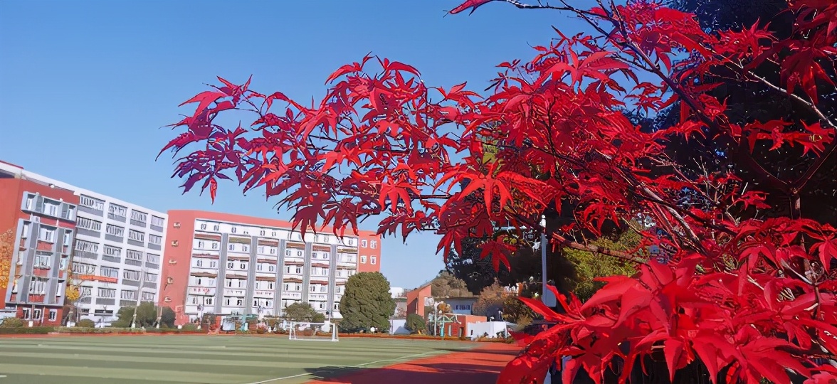 三位校长,三名校长