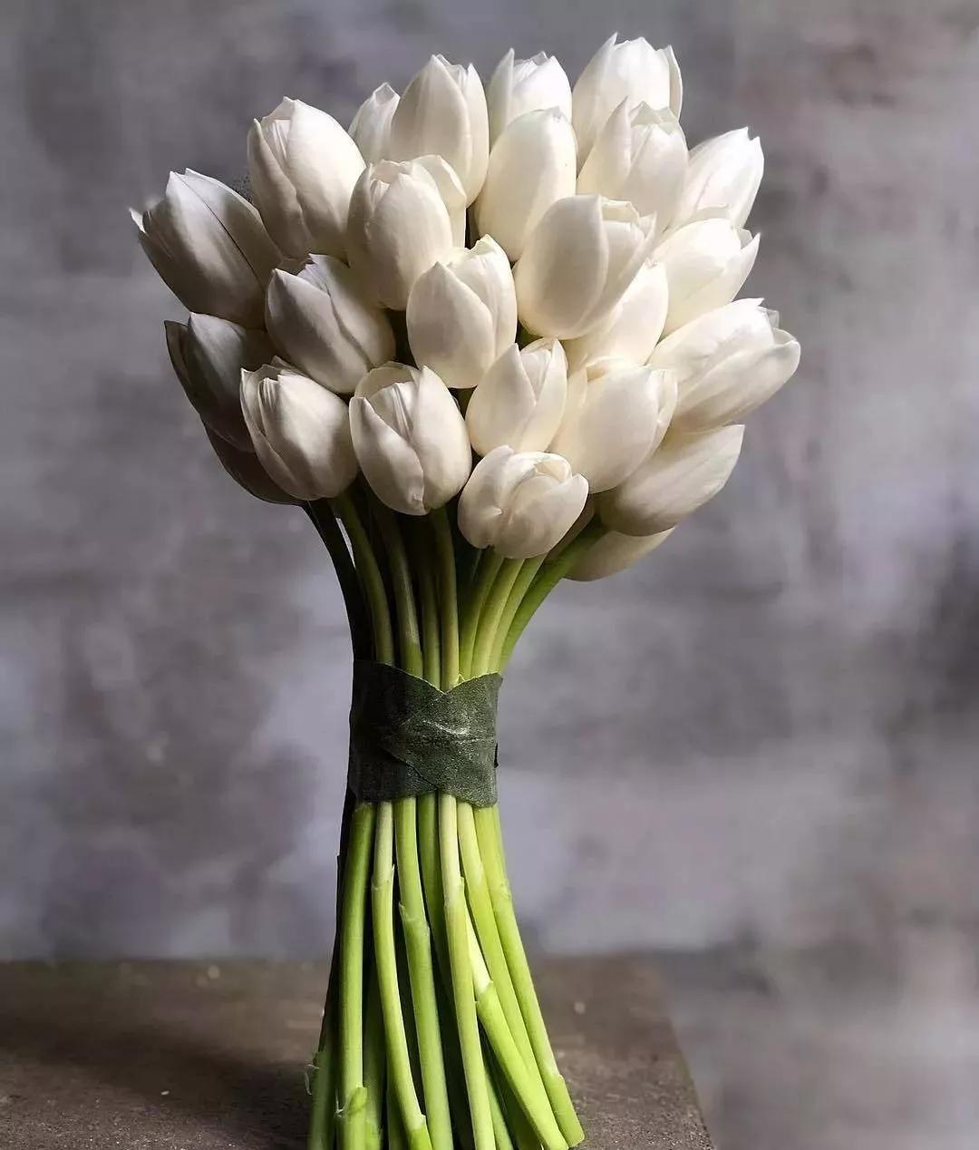 花材不剪枝如何养护,花材不用换水养护方法大全