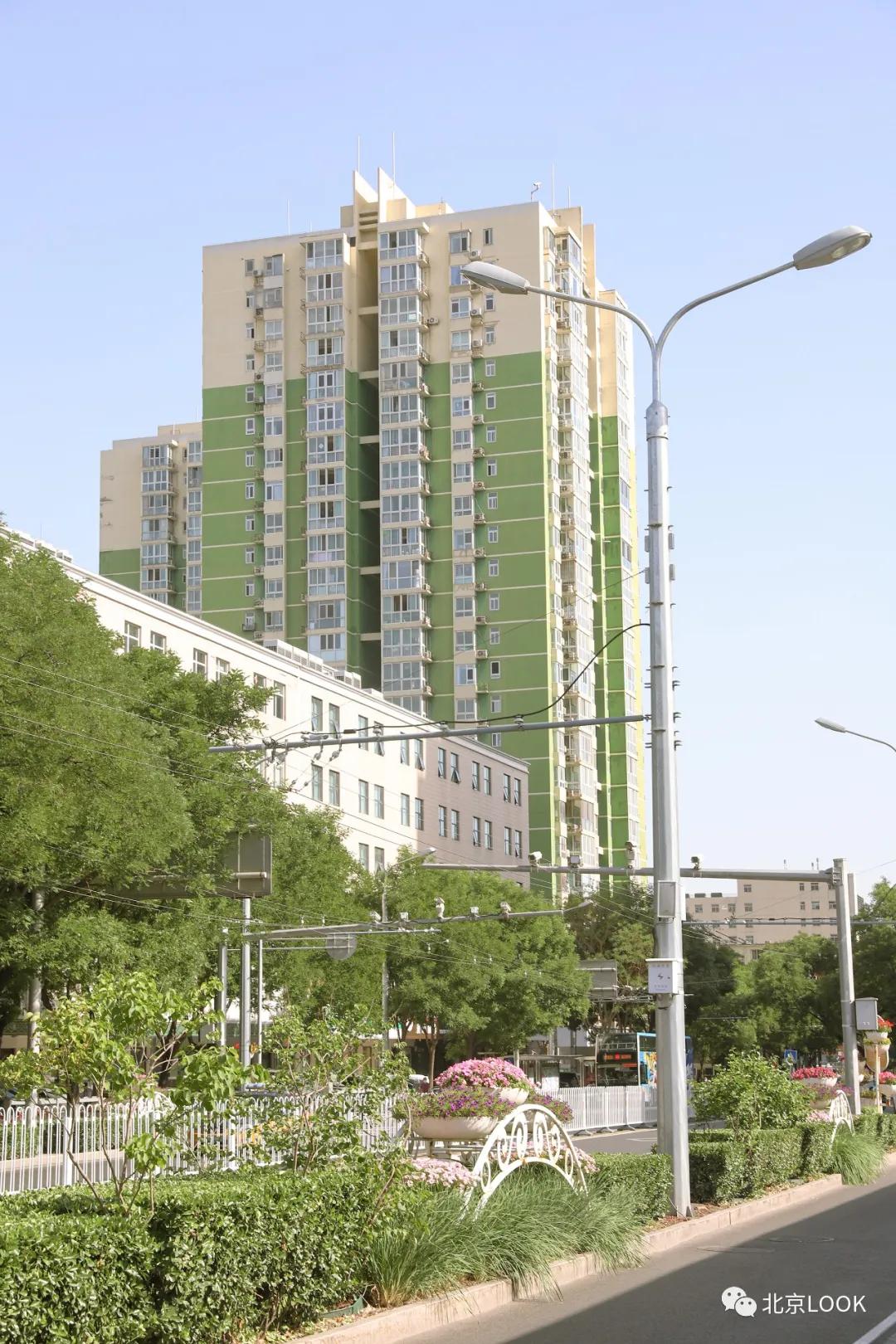 这就是牛完整视频,北京市牛街