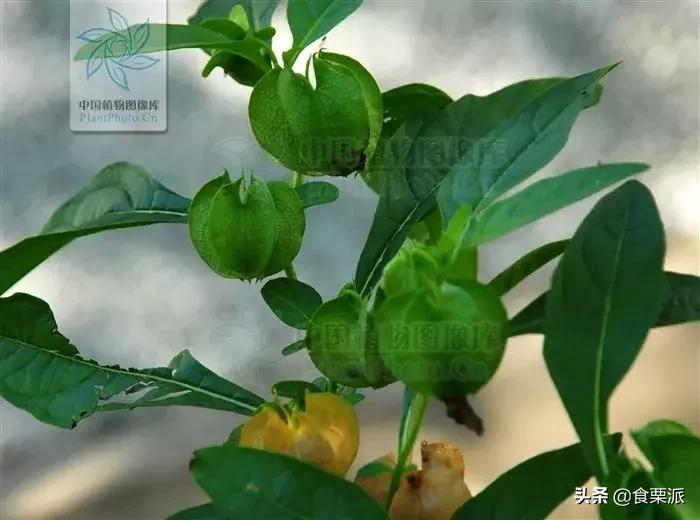 高温天气该如何凉快,高温天气该如何凉快一点