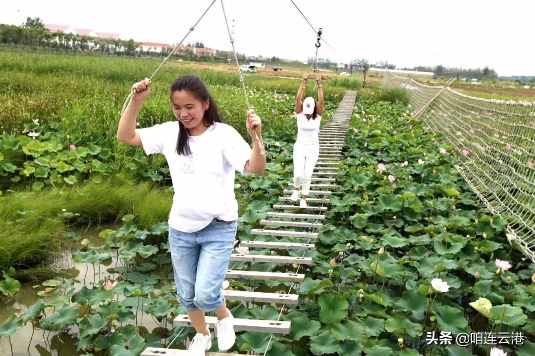 连云港现在采摘园有什么可以摘,连云港11月份采摘