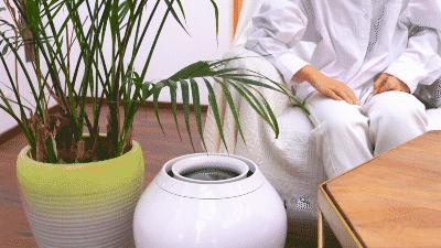 日本黑科技发明厨房,日本发明黑科技棺材车