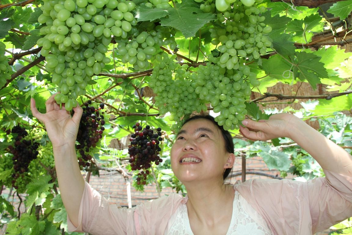 秋天的第一波大“瓜”终于藏不住了