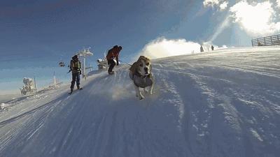 滑雪算比较贵的运动吗,滑雪运动有何难
