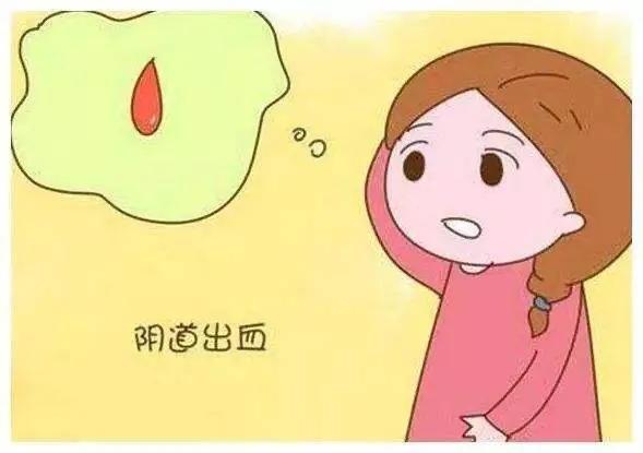 专题科普:怀孕那些事(二)