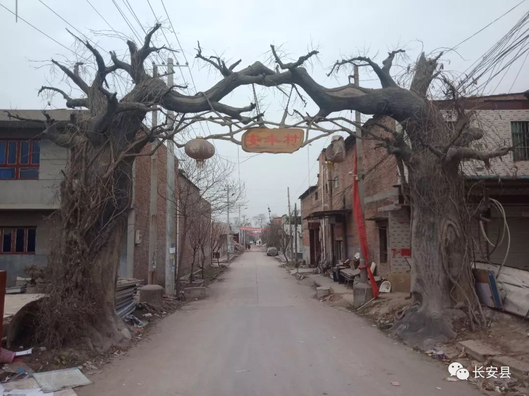 西安即将消失的村落千户村,西安市被废弃的村子