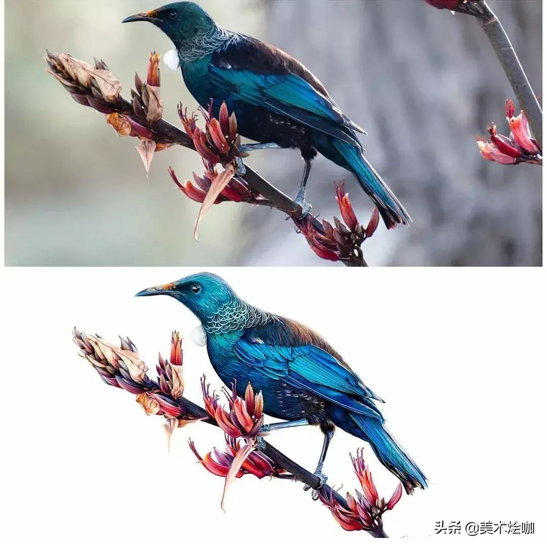 画的比照片还逼真,画的比照片还真实