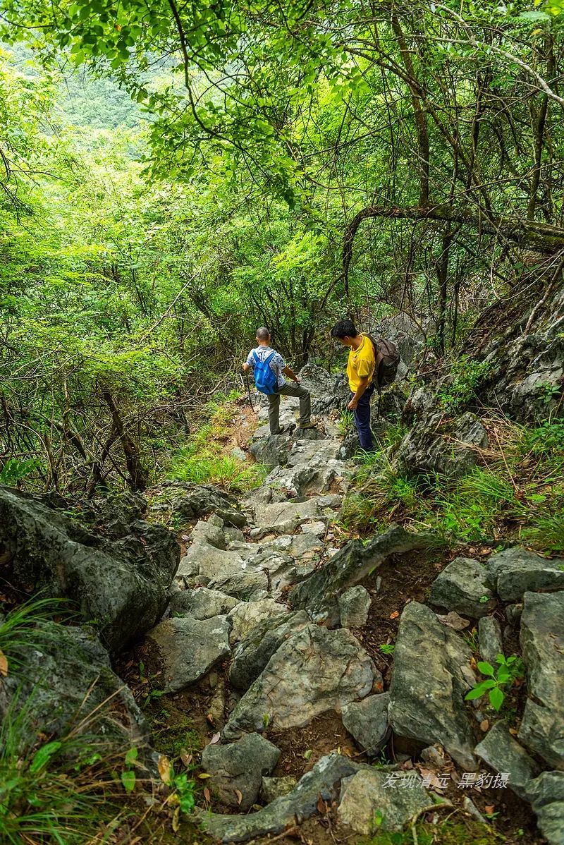 徒步穿越秦岭无人区,徒步穿越喀斯特森林