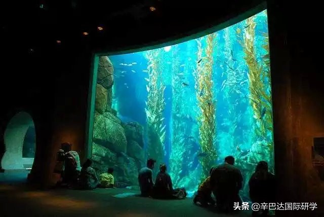 研学有哪些地方不能去,研学攻略路线