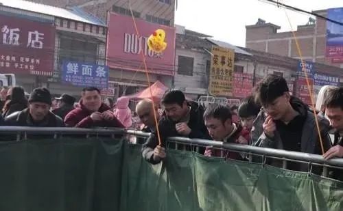 农村可以做哪些项目,现在农村可以做什么项目