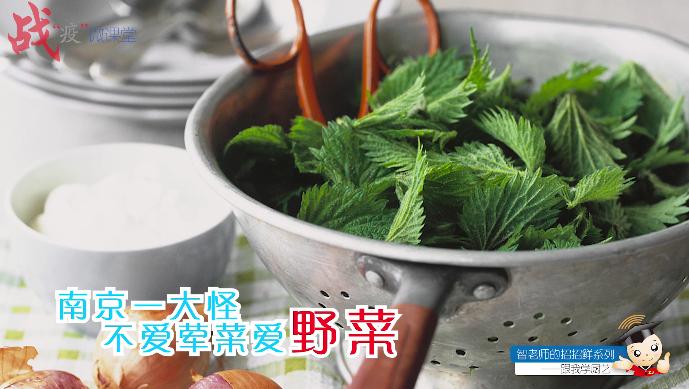 “智老师的招招鲜”微视频课程15《马兰头馄饨》(附视频)