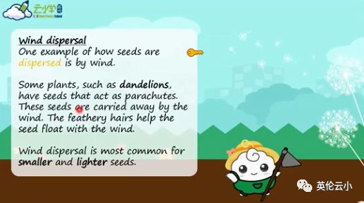 植物是怎么传播种子的二年级上册,植物传播种子方法有哪些举例说明
