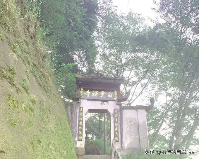 泉州到武夷山两日游攻略价格,武夷山报团两日游费用多少钱