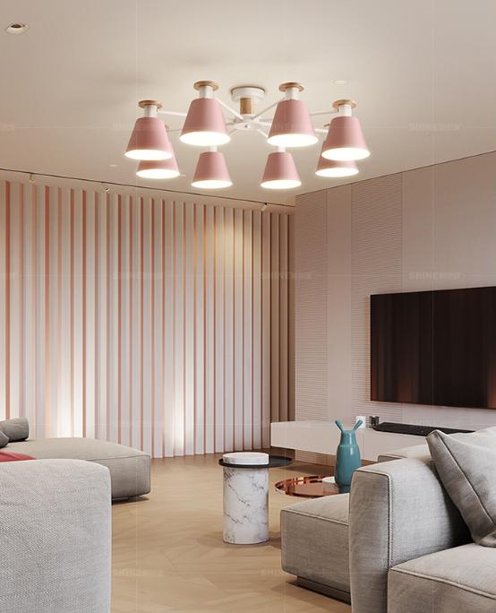 世源照明怎么样,世源照明灯泡