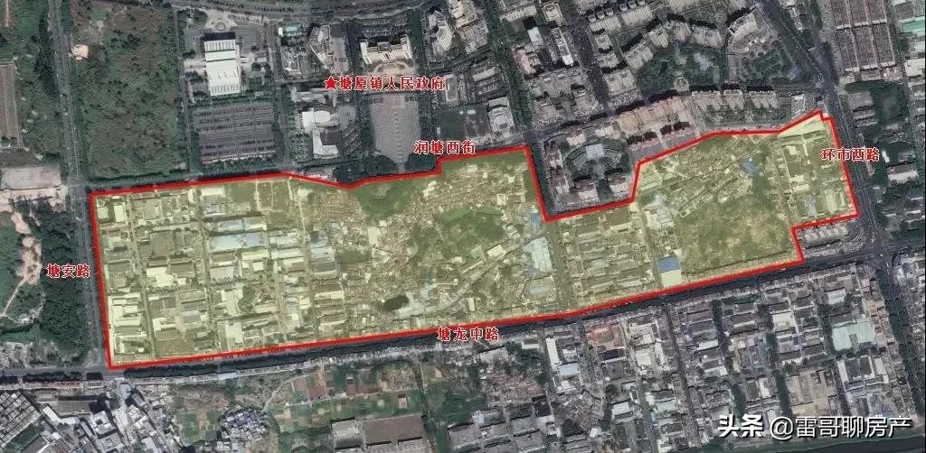 大局已定惠州横沥在哪呢,大局已定2020