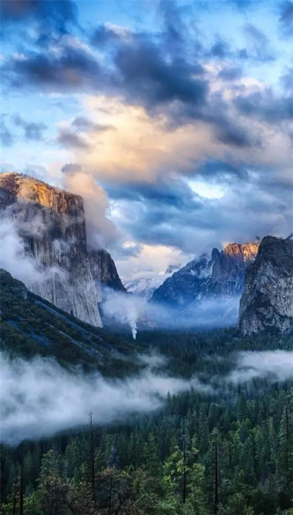 送你一张绝美壁纸,送你一张超美竖屏壁纸