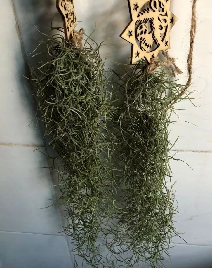 房间里湿气太重怎么办,房间湿气太重用什么除掉