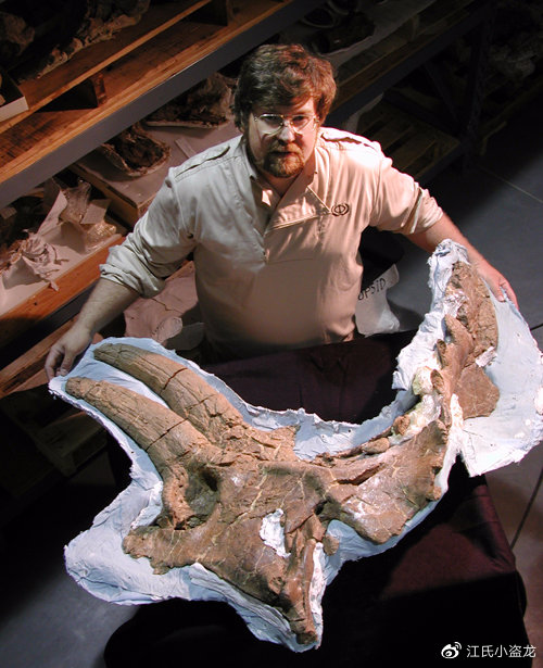 长得跟其他恐龙不一样的恐龙,恐龙化石奇怪的动物