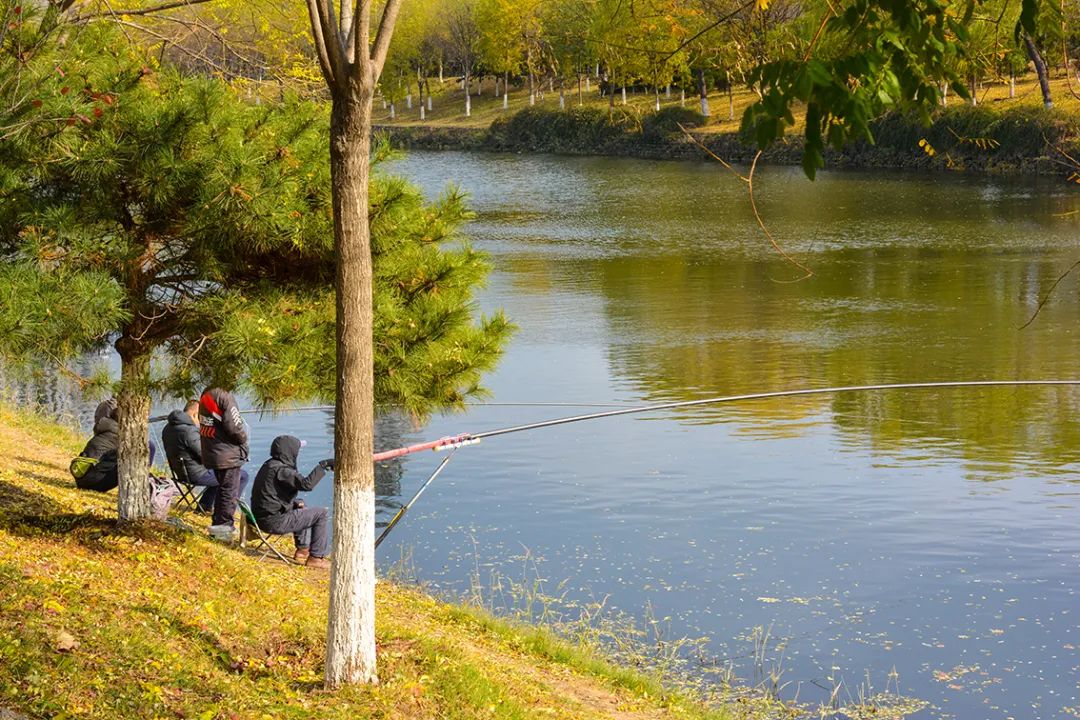 北京新开40个公园在哪里,北京十佳公园