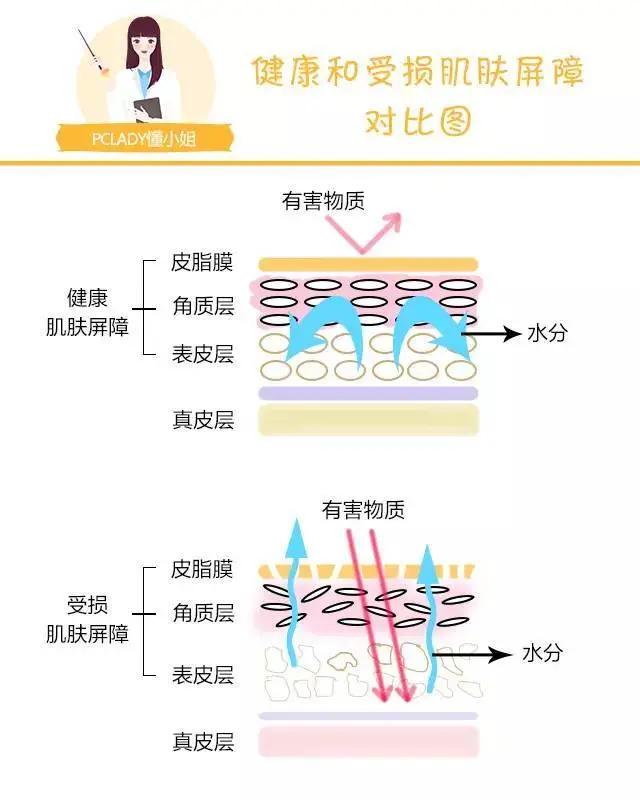 敏感肌肤春季怎么修复小妙招,为什么春天敏感肌肤特别多