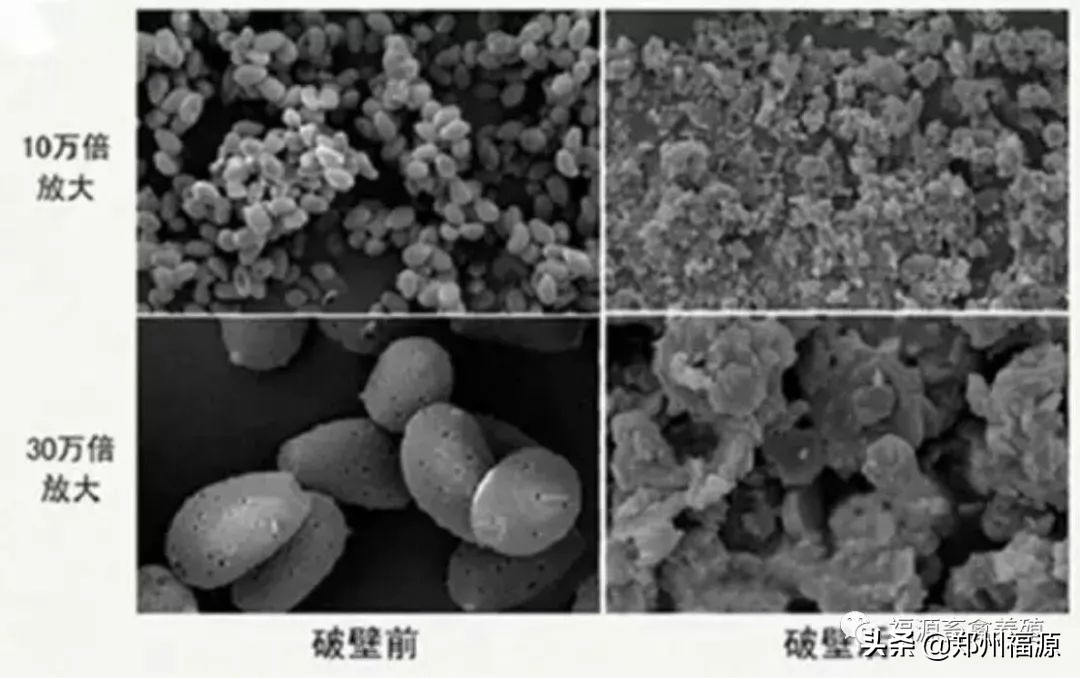福源补气血口服液,福源保健品