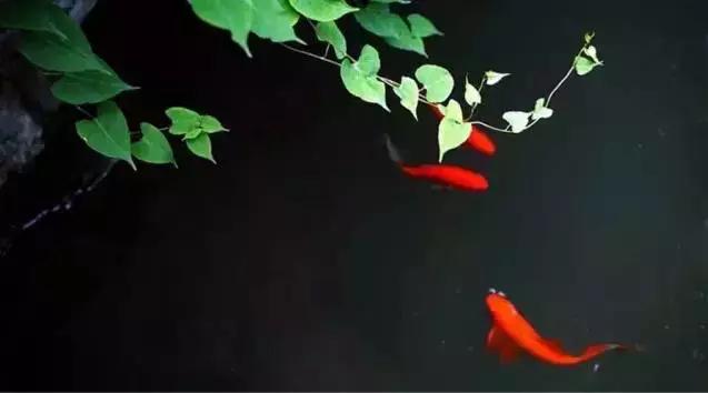 古人的夏天怎么凉快的,古人夏天没有空调怎么避暑