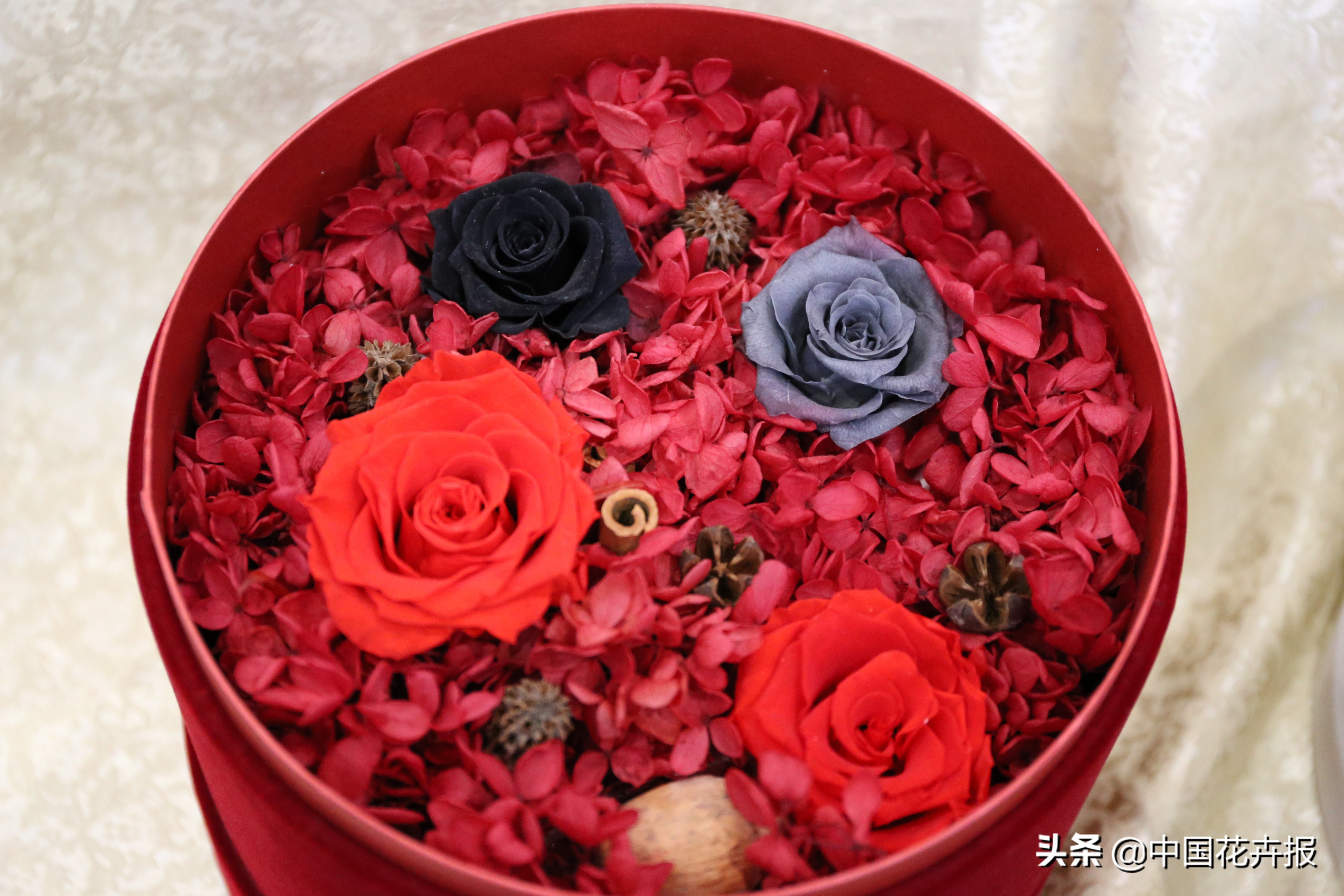 什么是永生花,野兽永生花为什么这么贵