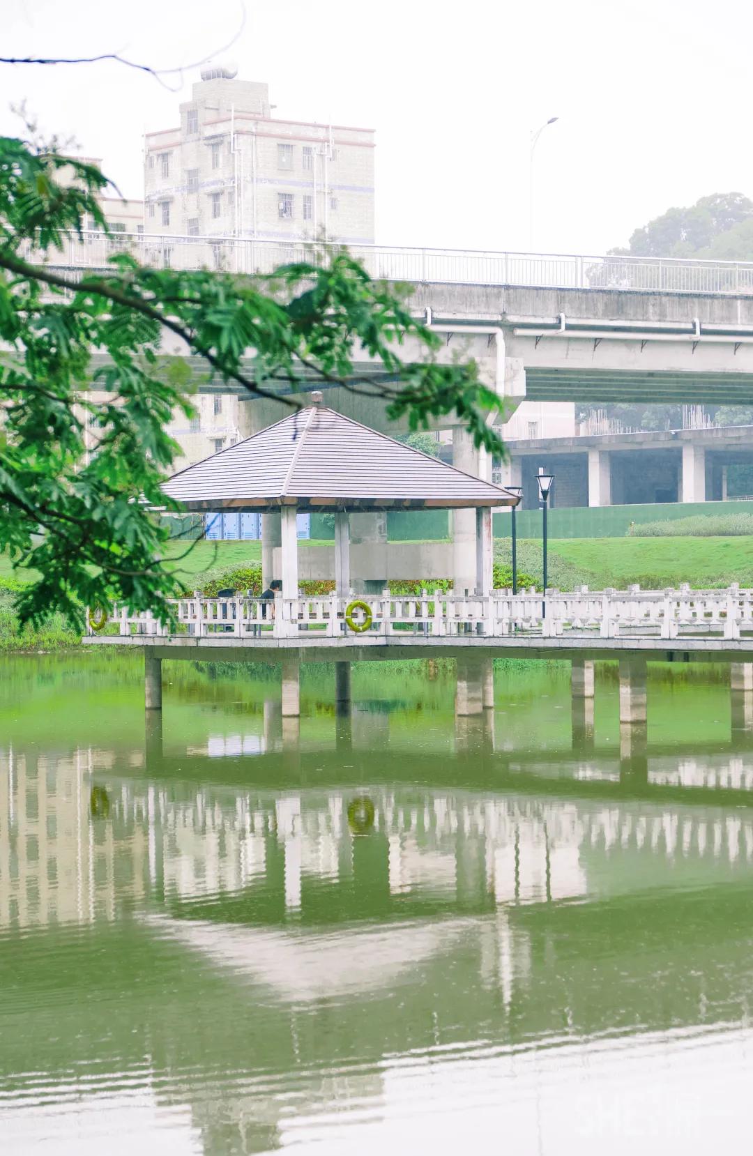 深圳八大绝美公园,山水公园深圳