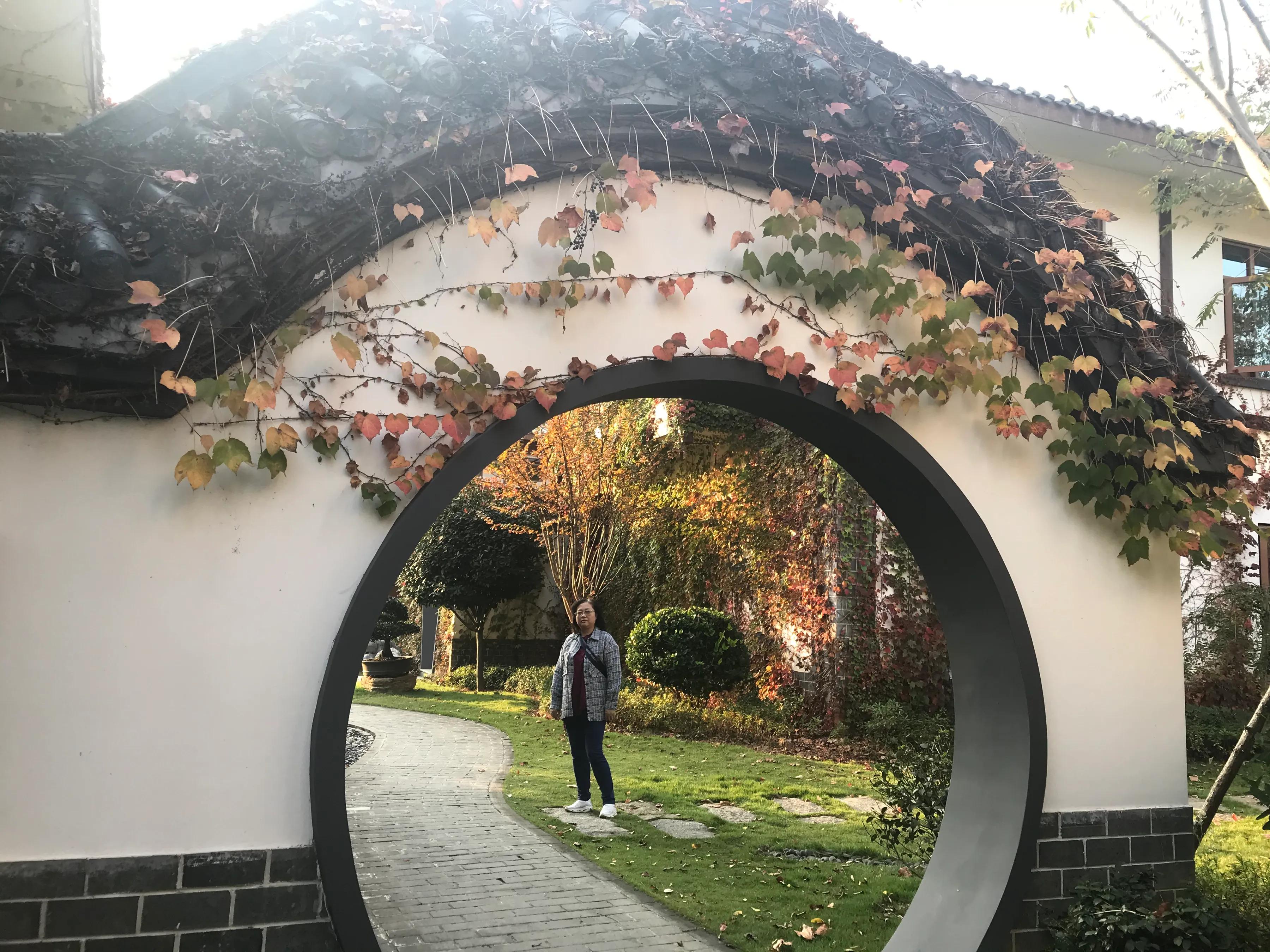 洋沙湖湿地公园游记,洋沙湖游记作文