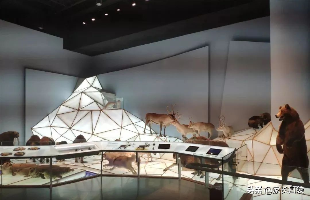 上海各大博物馆攻略,上海各大博物馆介绍