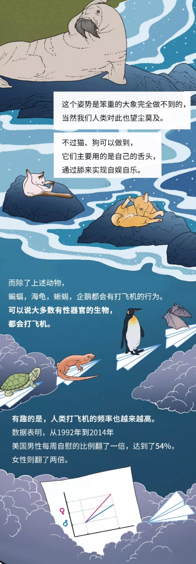 动物怎么上飞机,动物是如何乘坐飞机的