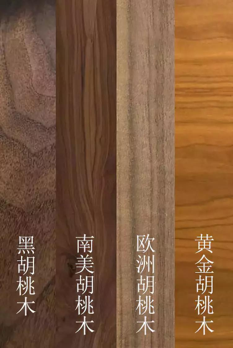黑胡桃三种颜色顺序,十大黑胡桃木品种
